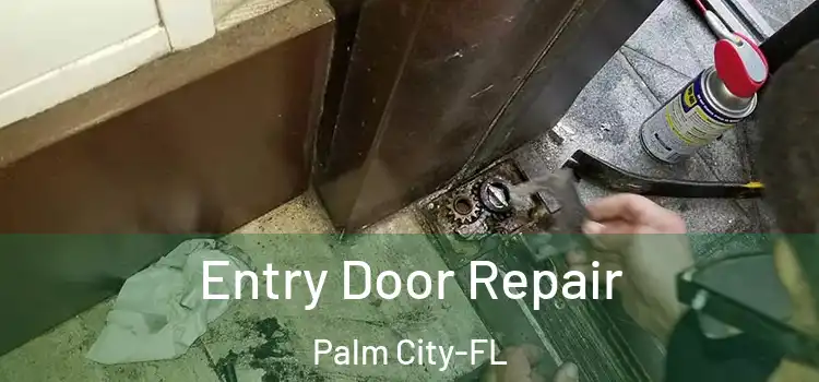  Entry Door Repair Palm City-FL