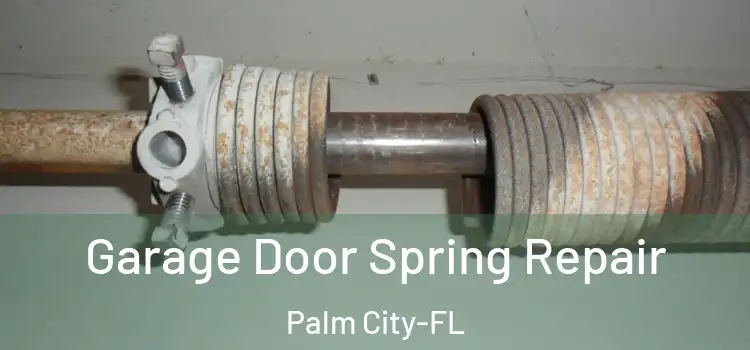  Garage Door Spring Repair Palm City-FL
