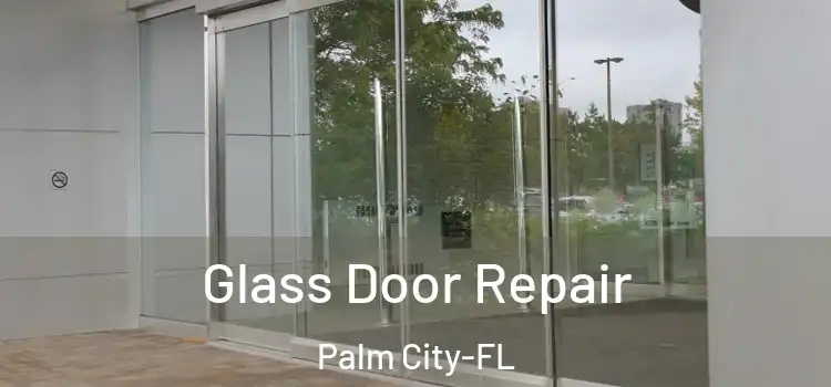 Glass Door Repair Palm City-FL