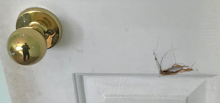 interior door hole repair Palm City