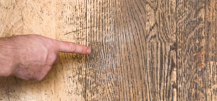 Wood Door Scratch Repair in Palm City