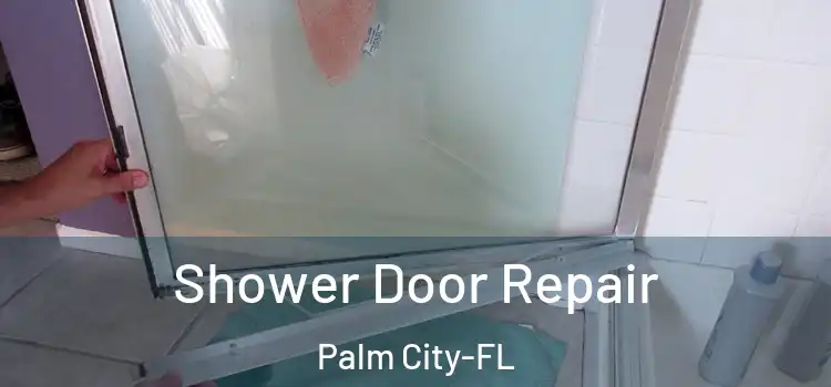  Shower Door Repair Palm City-FL